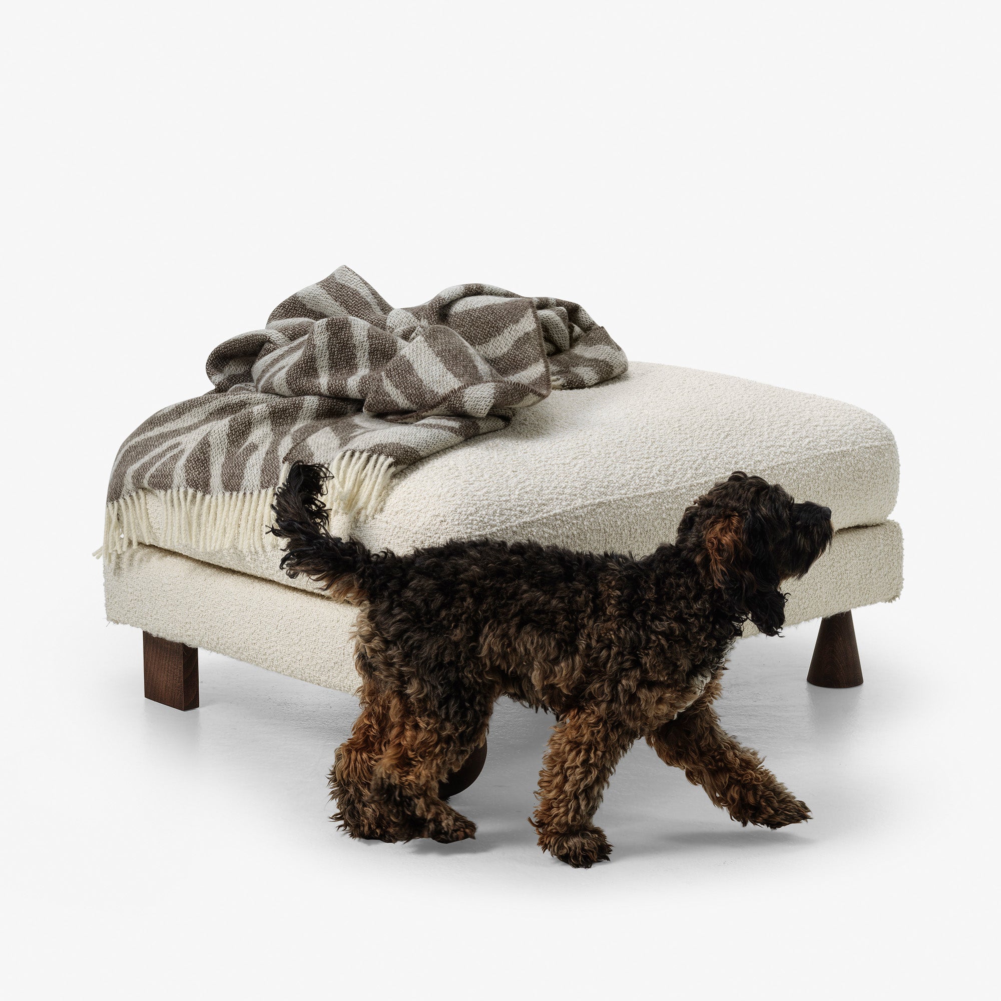 So wählen Sie die richtigen Stoffe für Ihr Haustier